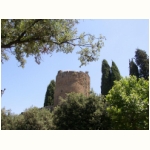 Tuscania - eine von vielen Ruinen