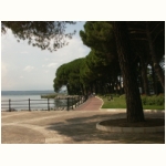 Im Park